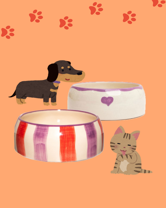 Workshop - Paint your petbowl